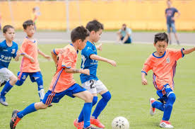 2026世界杯官网 乒乓球台的构成